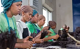 CallebautProva_900.jpg