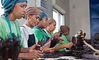 CallebautProva_900.jpg