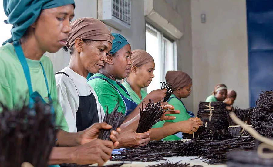 CallebautProva_900.jpg