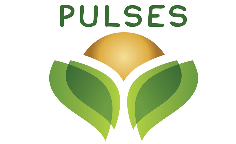 Pulses_900.jpg