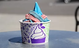 YogurtMntn_900.jpg