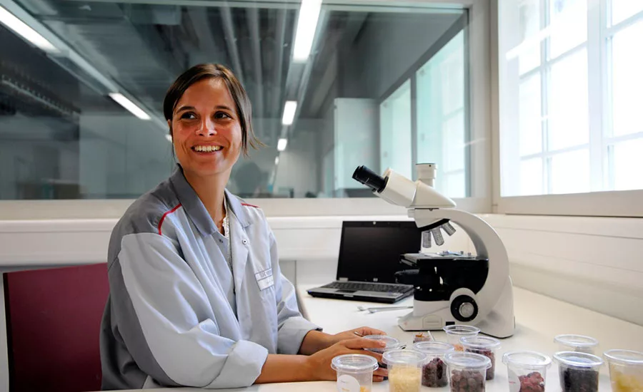 NestleSugarLab_900.jpg