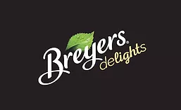 BreyersDelights_900.jpg