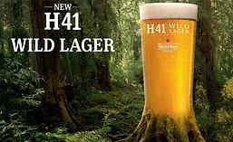 H41WildLager_900