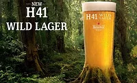 H41WildLager_900