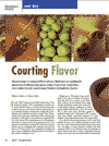 Courting Flavor