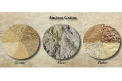 Ancient Grains