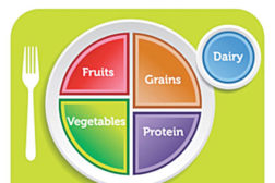 Food Diagram