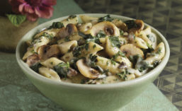 Bowl of Amy's Kitchen Mushroom Spinach Penne