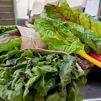 Bunches of kale wrapped in bags with loose leaves on top of them.