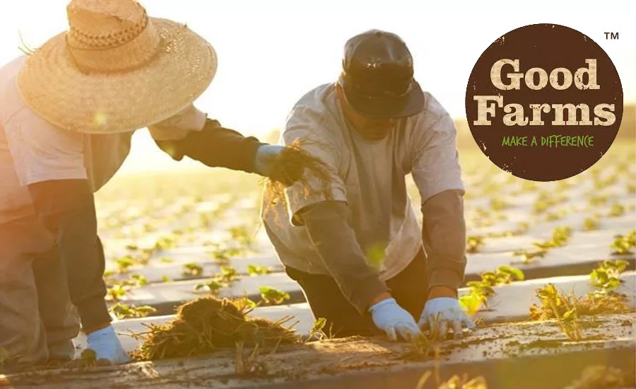 GoodFarms_900