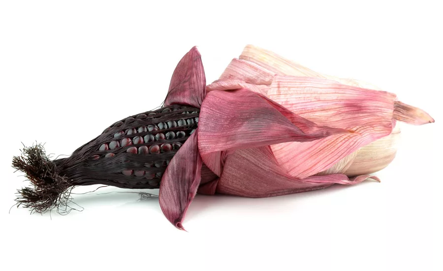 DDW_PurpleCorn_900