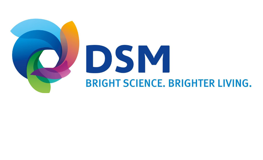 DSM_Logo_900