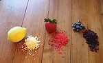 Inclusion-TechFlavor-Flakes