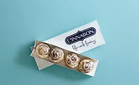 CinnabonBonBites_900