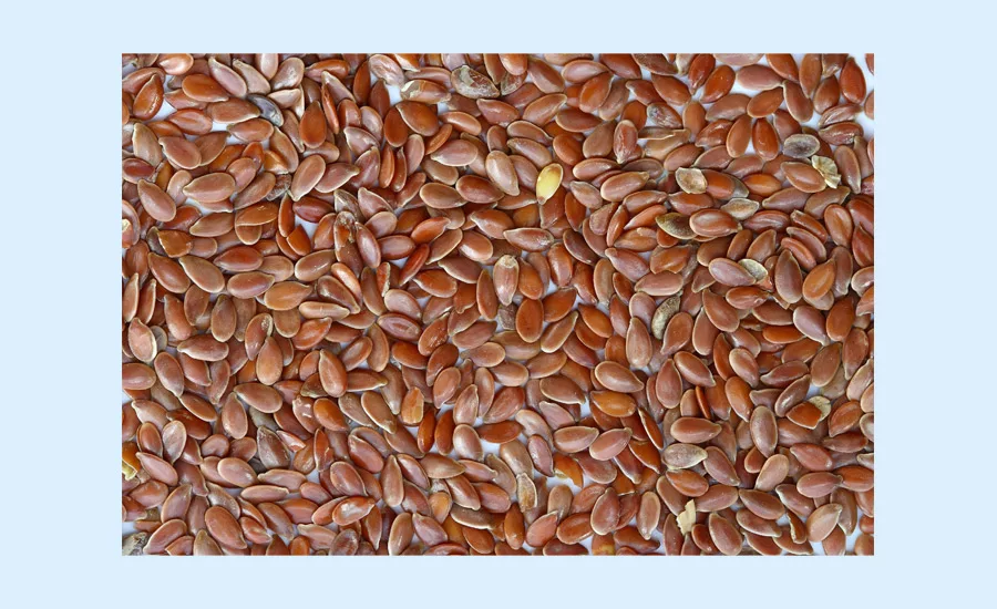 Flaxseed_900