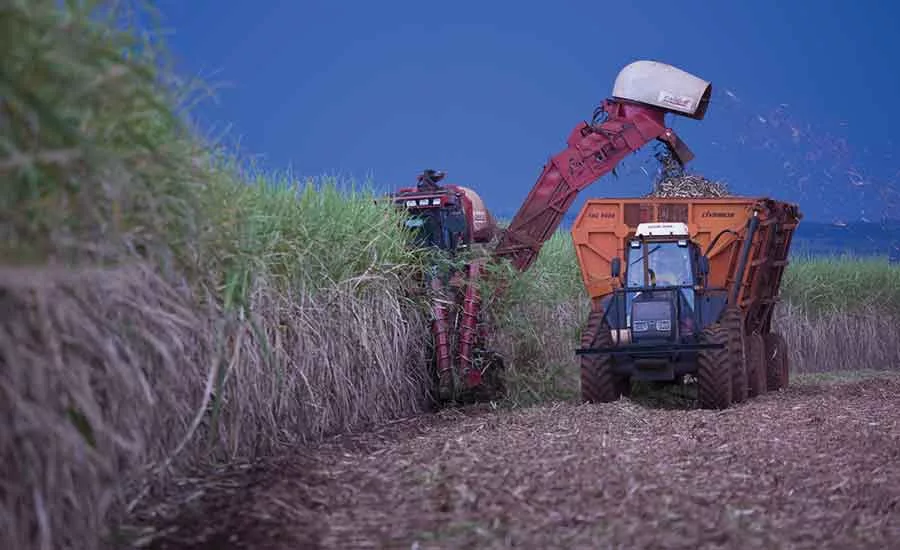 Cargill_CaneSugar_900