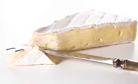 DupontCheese_900