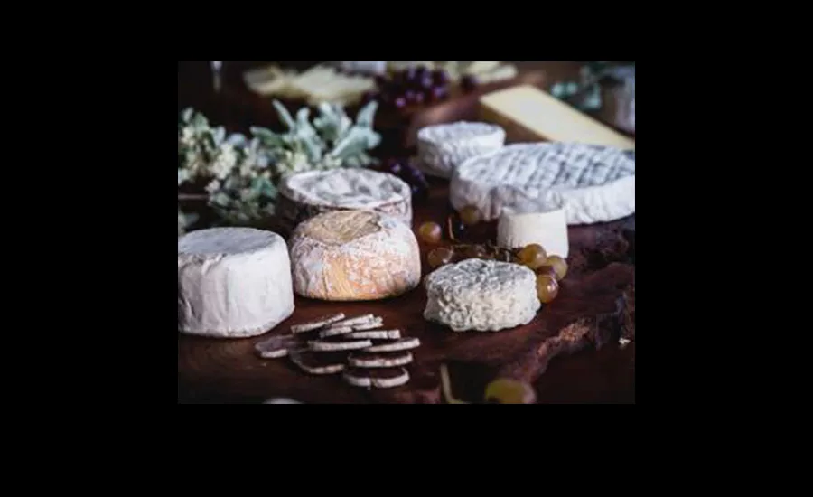 Emmi_Cheese16_900