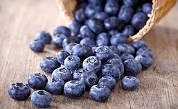 BlueberryBasket_900