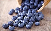 BlueberryBasket_900