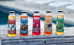 Numi Organic Tea RTD Line