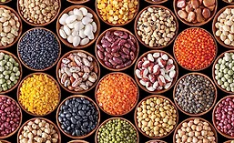 Pulses_01_900