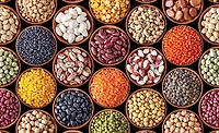 Pulses_01_900