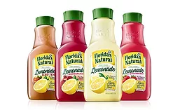 Florida's Natural Lemonades