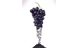 Welchs1_900