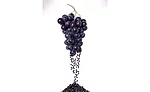 Welchs1_900