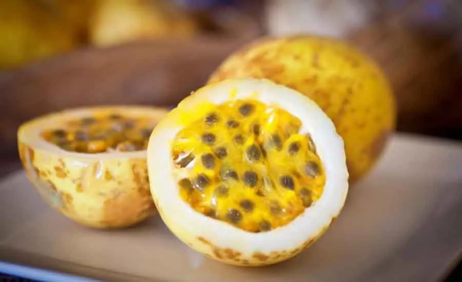 ITI_Trop_Fruit17_900