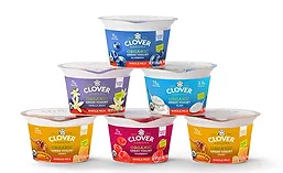 CloverMilkYogurt_900