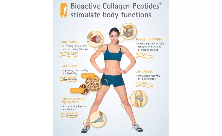Bioactive Collagen Peptides Stimulate Body Functions Infographic