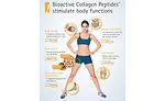 Bioactive Collagen Peptides Stimulate Body Functions Infographic