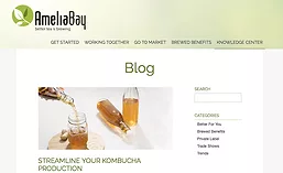 AmeliaBayBlog_900