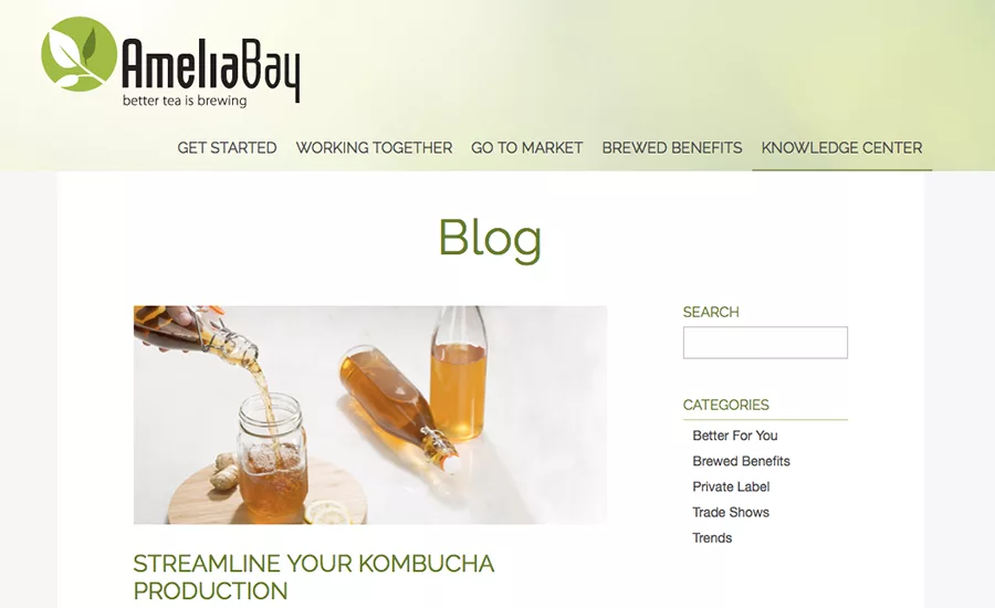 AmeliaBayBlog_900