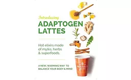 Adaptogen_900