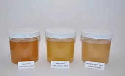 ISC_Gums17_900