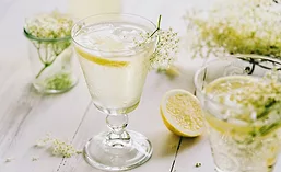 SynergyElderflower_900