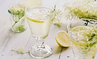 SynergyElderflower_900