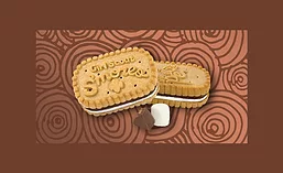 GirlScoutSmores_900