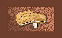 GirlScoutSmores_900