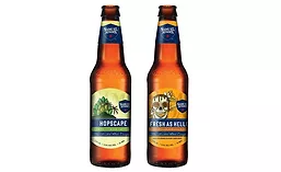 SamAdamsHelles_Hopscape_900