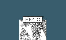 Heylo0218_900