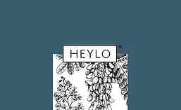 Heylo0218_900