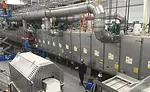 GracelandFruitPlant_B_18_900
