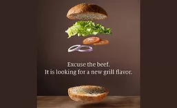 SymriseGrill18_900