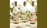 KetelOneBotanical_900