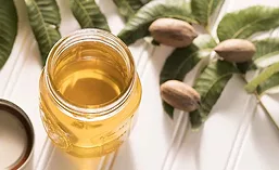 PecanOil_900